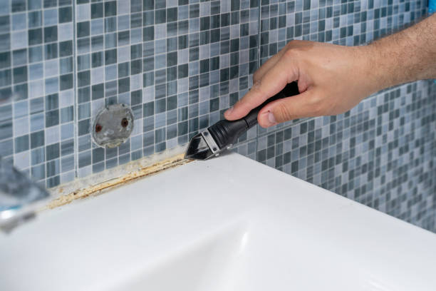 Mold Removal Process in Pleasant Ridge, MI