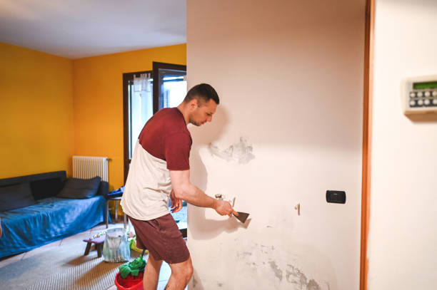 Best Fast Mold Removal  in Pleasant Ridge, MI