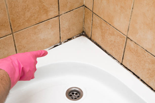 Best Residential Mold Removal  in Pleasant Ridge, MI